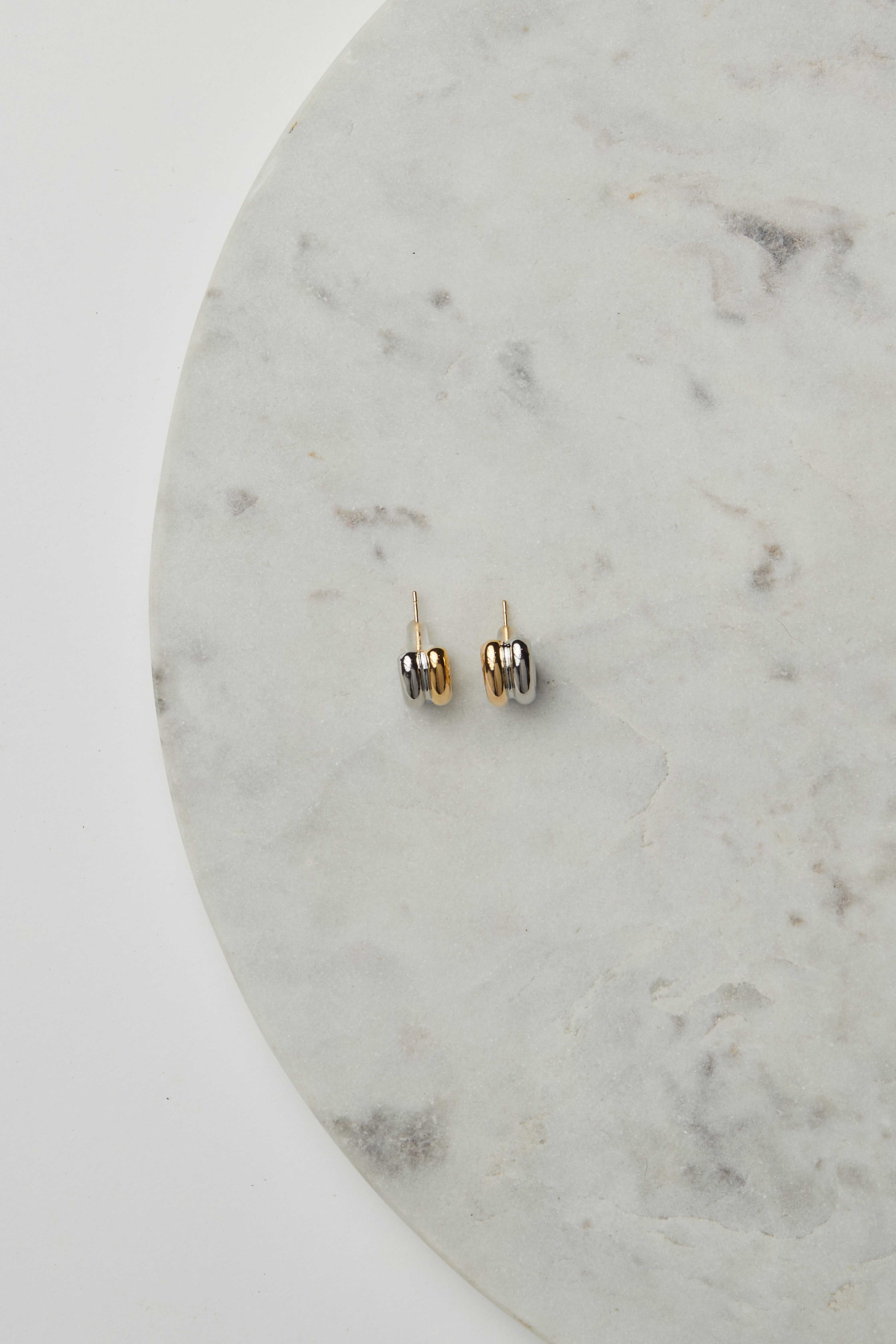 Double Ring Earrings