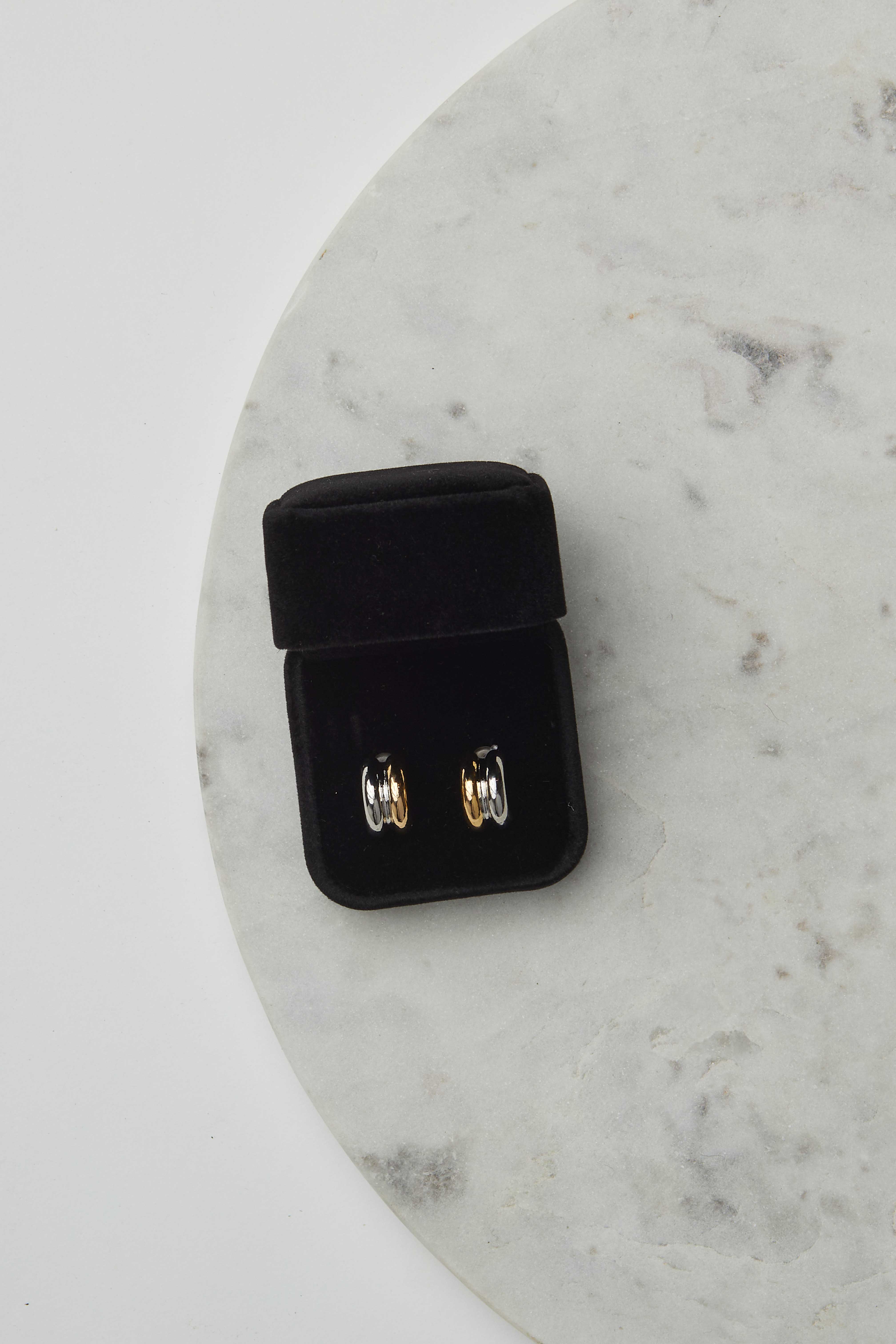 Double Ring Earrings